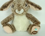 Dan Dee Animated Singing Peter Rabbit Plush 2020 Ears move to Music No J... - £27.24 GBP