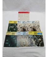 Lot Of (6) 1975 Rencontre One Celled Animals Education Cards - €10,58 EUR