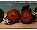 Naval Oranges and Blossoms UNP DB Postcard Z4 - $2.92