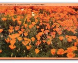 Field of California Poppy Flowers State Flower CA UNP Linen Postcard R29 - $3.91