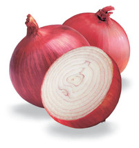 Garden Store 245 Seeds Red Burgundy Onion Allium Cepa Vegetable - $9.50