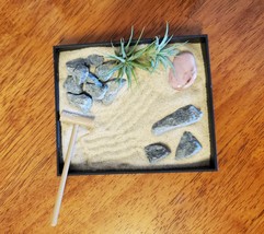 Mini Zen Garden with Air Plants and Polished Stone, Desktop Airplant Planter image 3