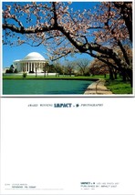 Washington D.C. Jefferson Memorial Cherry Blossom Trees VTG Postcard - £7.39 GBP