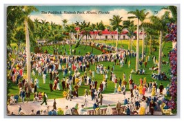 The Paddock Hialeah Park Miami Florida FL Linen Postcard R29 - £3.09 GBP