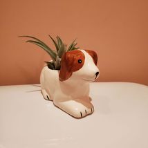 Dog with Air Plant, Airplant in Puppy Plant Pot, Air Plant Animal Planter image 2