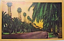 Palm Drive, California-Linen Postcard - £3.94 GBP