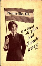 Plumville Pennsylvania is a Dead Old Place But I Should Worry Flag 1912 Postcard - $26.68