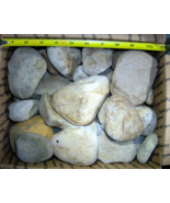 Box of smooth white river Rock Garden 25+ pounds Reedy Creek East Tennes... - $127.50