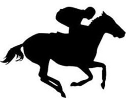 Thoroughbred Race Horse Window Decal Black Silhouette Profile Sticker on... - $94.05 MXN