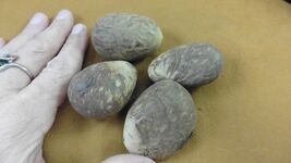 Item image 1 image 1