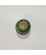 Unsigned Ocean Scene Sponge Cluster Studio Art Glass Marble - $1,386.18 MXN