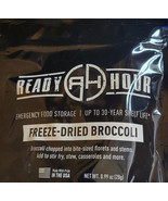 Freeze-Dried Broccoli Single Pouch 30 Year Shelf Life 8 Serving Emergenc... - £9.21 GBP