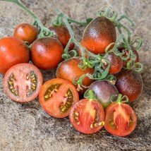 Organic Woolly Kate Tomato Seeds - 5 Shaggy Heirloom Seeds for Planting, Distinc - £5.59 GBP