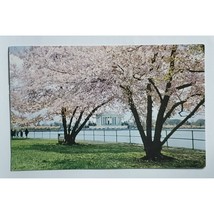 Postcard Jefferson Memorial Cherry Blossom Festival Washington D.C. Posted 1962 - £5.03 GBP