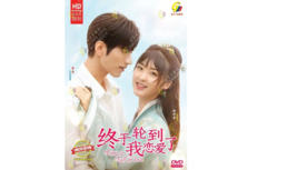 DVD Chinese Drama Time To Fall In Love (1-24 End) English Subtitle  - £24.91 GBP