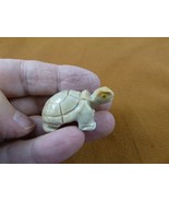 Y-TUR-LA-66 white Tortoise land turtle SOAPSTONE FIGURINE love little tu... - €7,71 EUR
