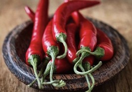 Red Cayenne Pepper- Capsicum Annuum 100 Seeds - £7.17 GBP