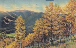 When Autumn Paints the Trees and Hills in Magic Colors Colorado CO Postc... - $2.99