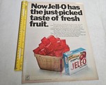 Jell-O just-picked taste of fresh fruit Strawberry Jello Cubes Vintage P... - $7.98