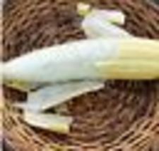 20 Seeds! LUFFA Gourd Heirloom Culinary Climbing Trellis Garden Sponges Non-GMO - £8.66 GBP