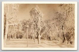 RPPC Beautiful Winter Scene Snow Covered Trees In Park Real Photo Postcard Q29 - £7.02 GBP
