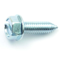 6mm x 20mm Zinc Chrysler/Honda Slotted Hex Head Sheet Metal Screws (10 pcs.) - $12.90