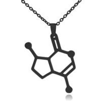 Catnip Nepetalactone Molecule Stainless Steel Necklace - £14.21 GBP