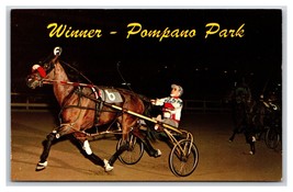 Horse Racing Winner Pompano Park Beach Florida FL UNP Chrome Postcard U11 - £3.68 GBP