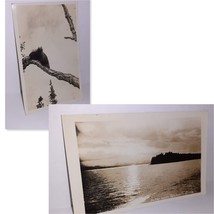 RPPC Alaska Porcupine &amp; Inside Passage Postcards 20s x2 Pre-Statehood - £4.58 GBP