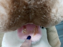 Item image 12