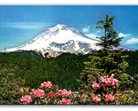 Mount Hood and Rhododendron Blossoms Washington WA UNP Chrome Postcard S12 - $3.91