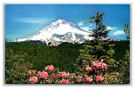 Mount Hood and Rhododendron Blossoms Washington WA UNP Chrome Postcard S12 - £3.12 GBP