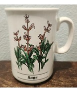 Vintage 1992 Bloom-rite Sage Coffee Mug Herb Garden Nurserymen&#39;s Exchange  - £9.66 GBP