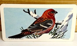 Vintage Songbird Trading Card Pine Grosbeak 1966 S9N39 Brooke Bond Tea Co - $15.99