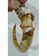 Near Circle boar pig tooth with dragon silver cap &quot;Lion brand&quot; pendant - €85,44 EUR