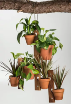 6 Pot Hanging Plant Holder 3 Piece Set Terra Cotta Chain Link - £62.46 GBP