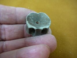 F328-20) 1" fossil Shark vertebrae bone disk bony segment vert vertebrat... - $8.99