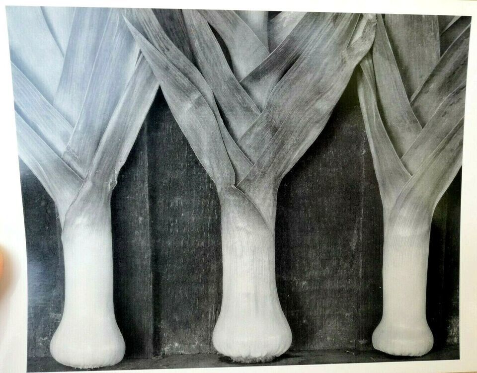Leeks 1927 Photograph by Edward Weston greeting card W-010-85 2-V