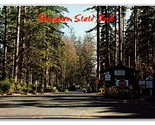 Honeyman State Park Florence Oregon OR UNP Chrome Postcard M20 - $3.91