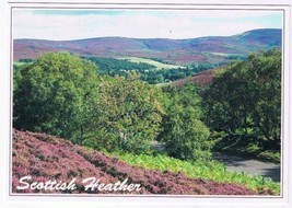 Postcard Scottish Heather Hills Of Glen Esk Angus Scotland - £2.35 GBP