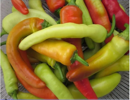 Hungarian Hot Yellow Wax Chili Pepper Organic Seeds, 50 Seeds / Pack - $9.64