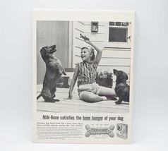 Milk Bone Dog Biscuits Dachshund Magazine Ad Print Design Advertising - $12.86