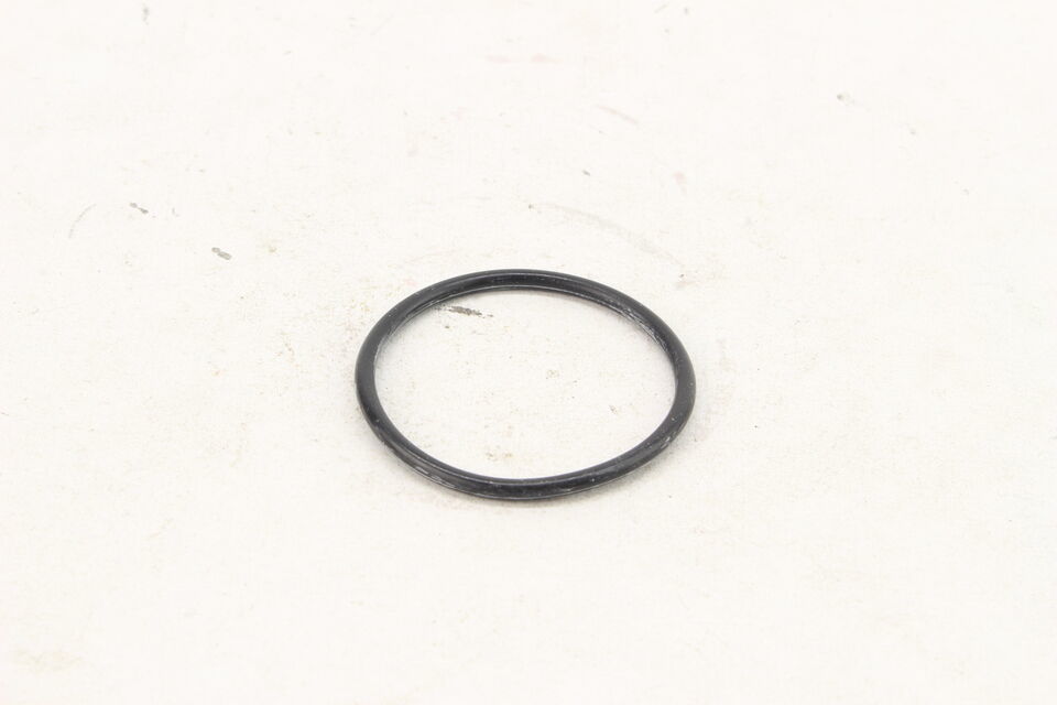 Moto Guzzi Daytona MGS-01 Cylinder Head O-Ring r2688 - $9.85