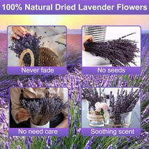 Purple Dried Lavender Flowers Bundle 15&#39;&#39; 17 &quot; Real Dry Preserved Lavender Bouqu - £19.88 GBP