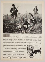 1968 Print Ad Purina Dog Chow Beagles in Field with Hunters &amp; Shotguns - £11.31 GBP