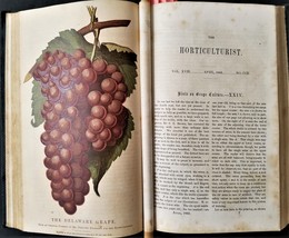 1863 antique HORTICULTURIST JOURNAL bound gardening architecture botany entomolo - £96.76 GBP
