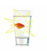 Instant Fish - Magician Produces A Fish From Borrowed Bill - Fish From B... - $6.92