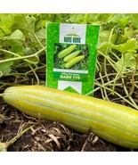 Vietnamese yellow melon seeds Long Musk melon Fresh Seeds From US - £10.18 GBP