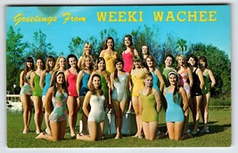 Greetings From Weeki Wachee Florida Postcard Mermaids Women Pose Outside Chrome - £9.84 GBP