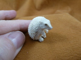 Hed-w3 little white Hedgehog shed moose ANTLER figurine Bali detailed ca... - $86.94